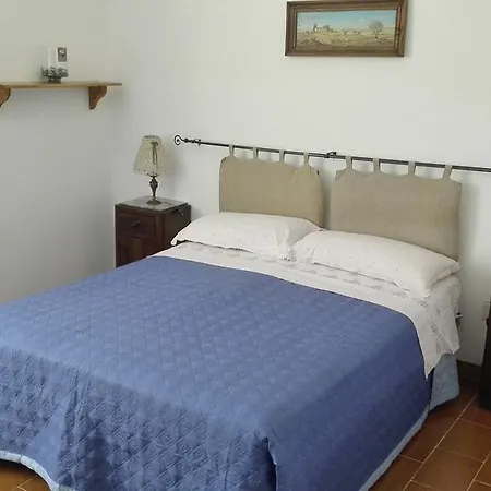 Il Pianetto 첼레 술 리고