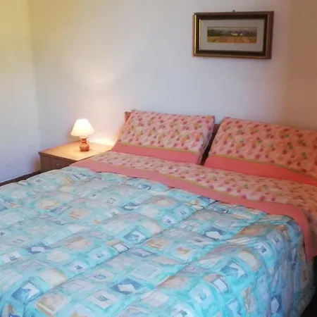 Il Pianetto 첼레 술 리고